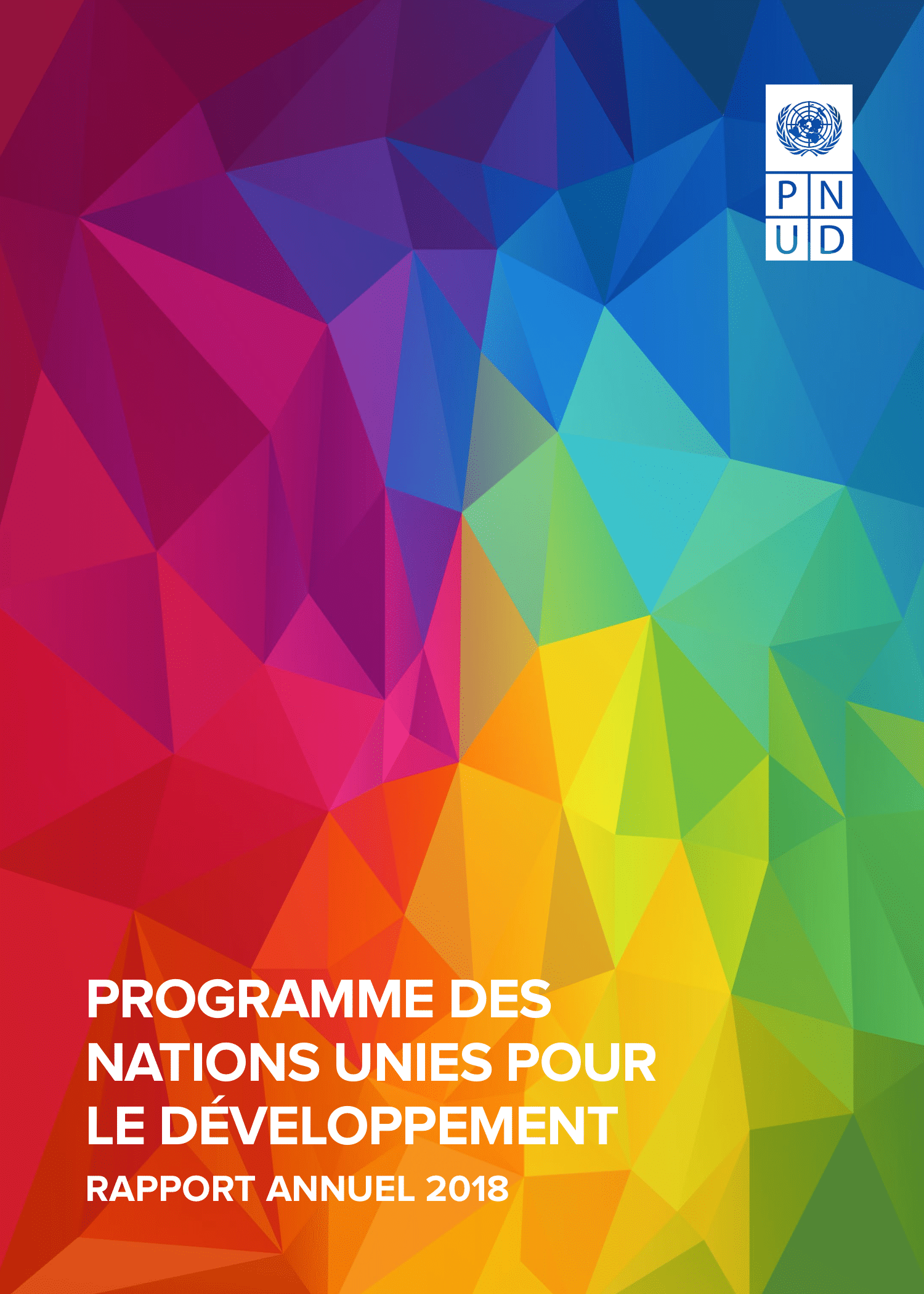 UNDP Annual Report cover