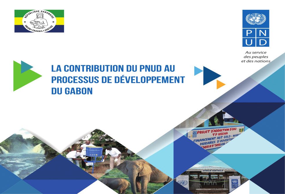 UNDP Contribution Cover