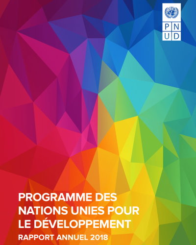 UNDP Annual Report cover