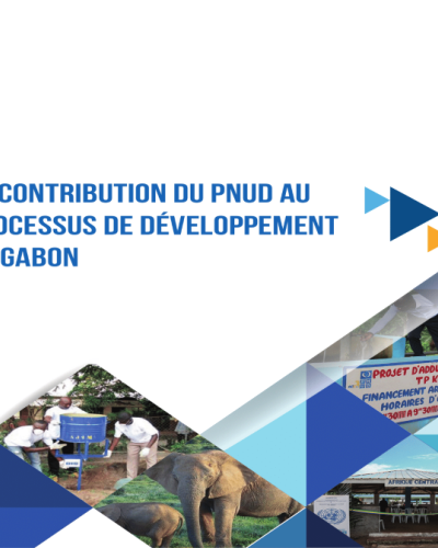 UNDP Contribution Cover