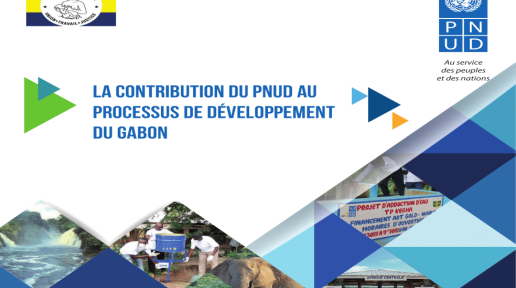 UNDP Contribution Cover